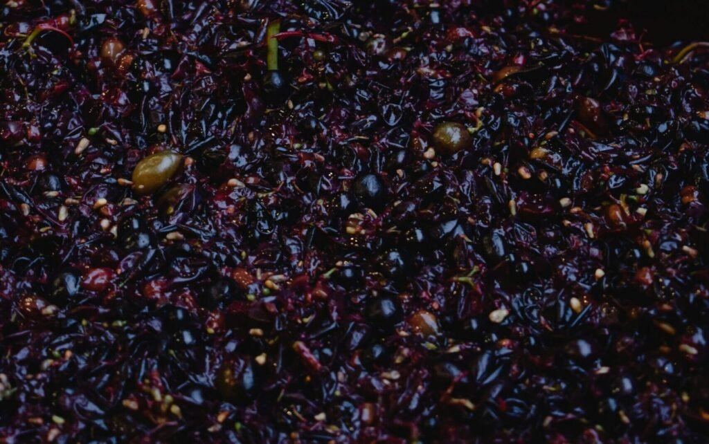 Tanins du vin