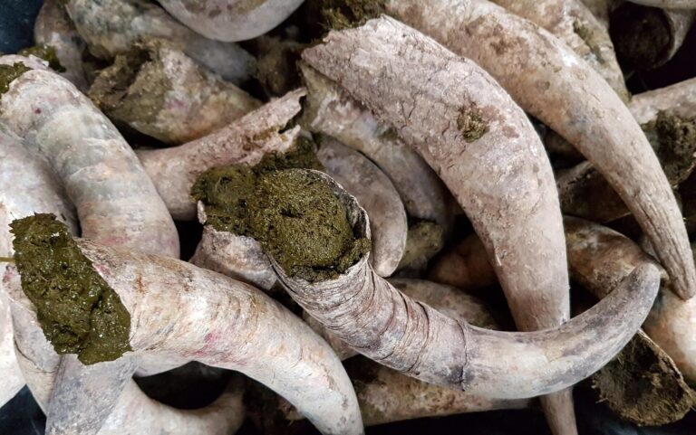 Vins bios, biodynamie, vins natures...