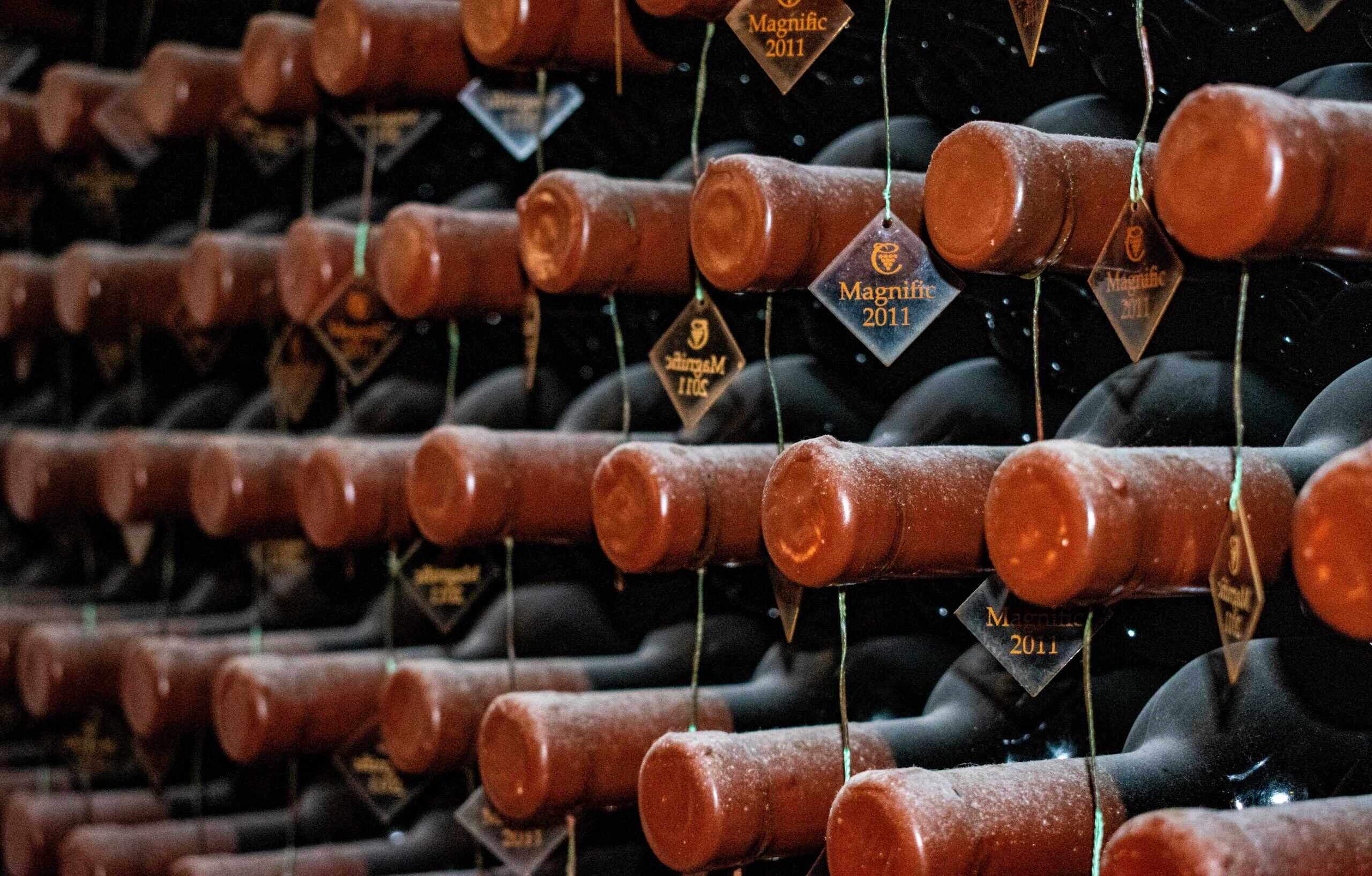 Comment reconnaître un grand vin : les critères essentiels pour ne pas se tromper